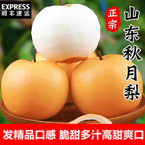 正宗羊脂秋月梨山东现摘新鲜脆甜