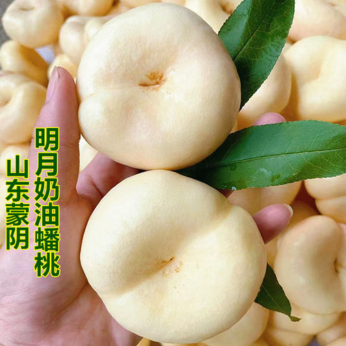 奶油蟠桃香甜软糯当季新鲜采摘