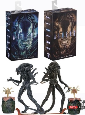 NECA 异形2  1986版 Alien 异形战士+虫蛋套装  棕色/蓝色豪华版