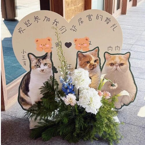 小红书同款猫狗kt板婚礼场景布置猫咪狗狗迎宾牌定制kt板定制