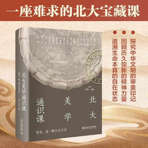 正版北大美学通识课彭锋