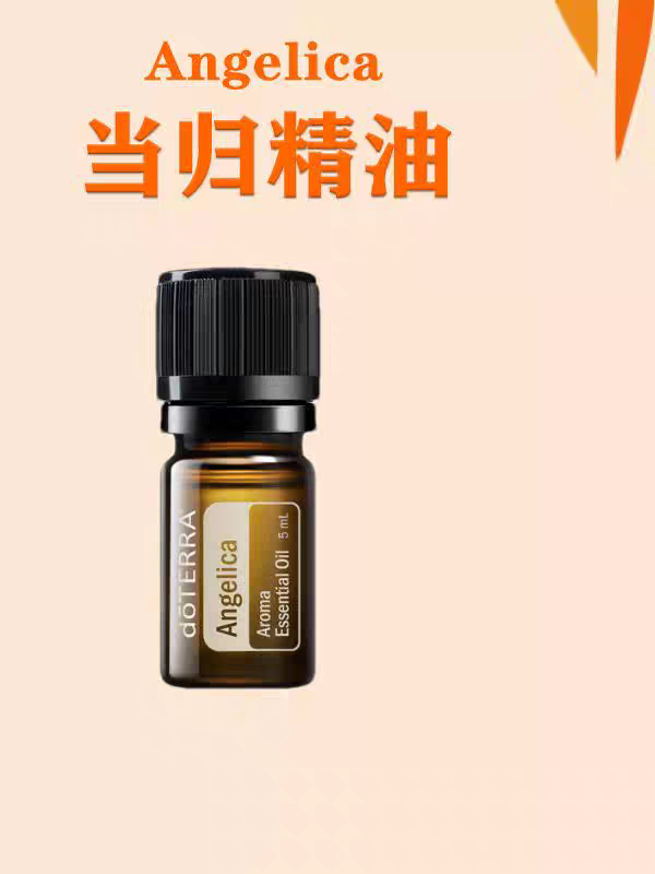 当归精油美国doterra多特瑞官网当归精油5ml补血补气