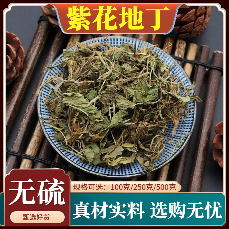 紫花地丁材紫地丁草地丁草新货铧头草箭头草天然无添加500g克