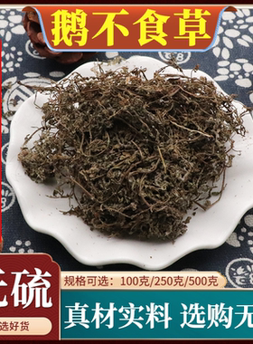 鹅不食草材天然鹅不吃草新鲜干 干草粉末饿不食草无硫500g克