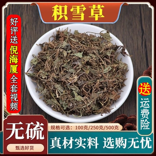 积雪草中药材连钱草马蹄草破铜钱草中草药干货天然无硫500g克包邮