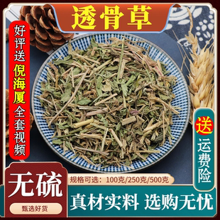 透骨草材透骨消连钱草泡脚铜钱草透骨新货天然无硫500g克