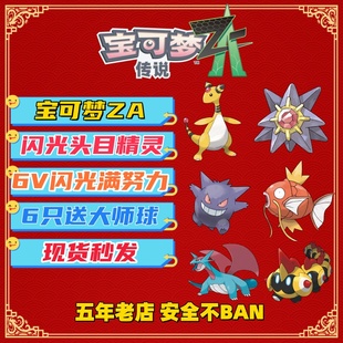 NS宝可梦ZA 头目闪光 6V满努力 送大师球 自ID闪光头目定制