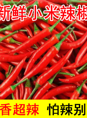 新鲜小米辣现摘超辣小米辣椒特辣朝天椒当季时令疏菜调味农家自种