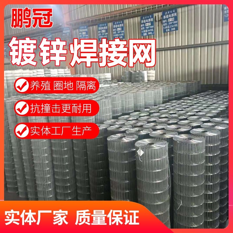 鸟笼养殖网防护长孔镀锌