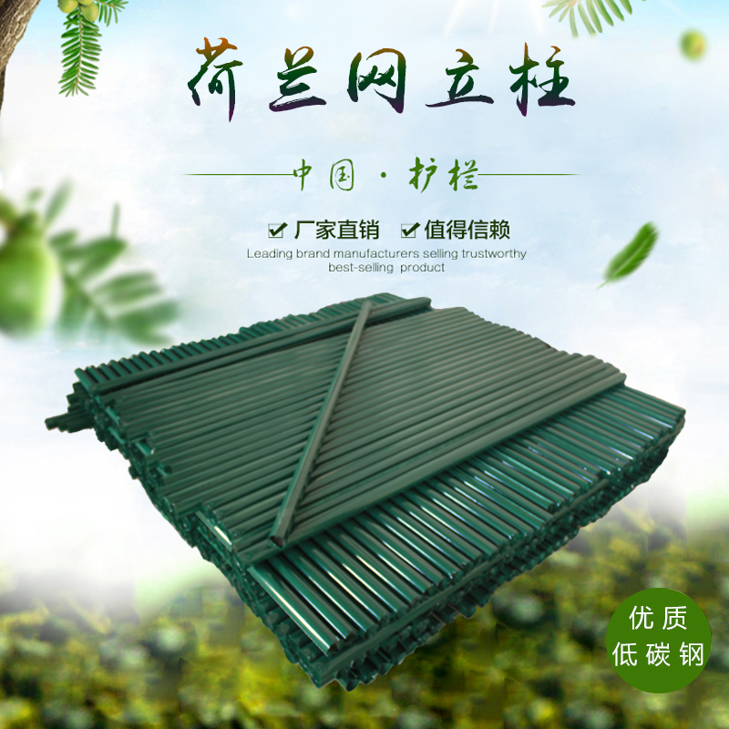 铁立柱车间钢管护栏网