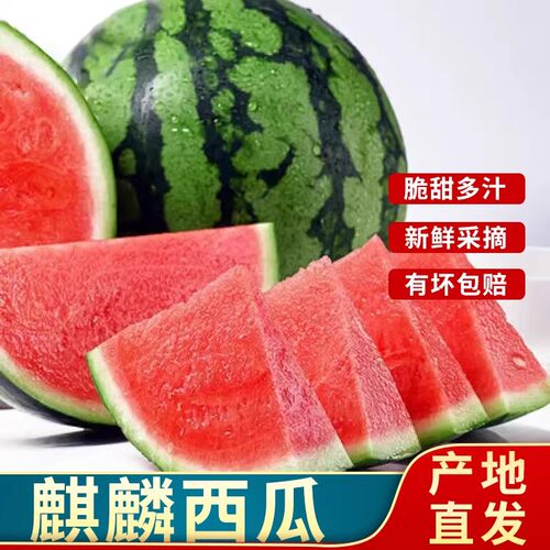 新鲜采摘脆甜河南商丘麒麟西瓜新鲜多汁无籽甜瓜产地直发有坏包赔