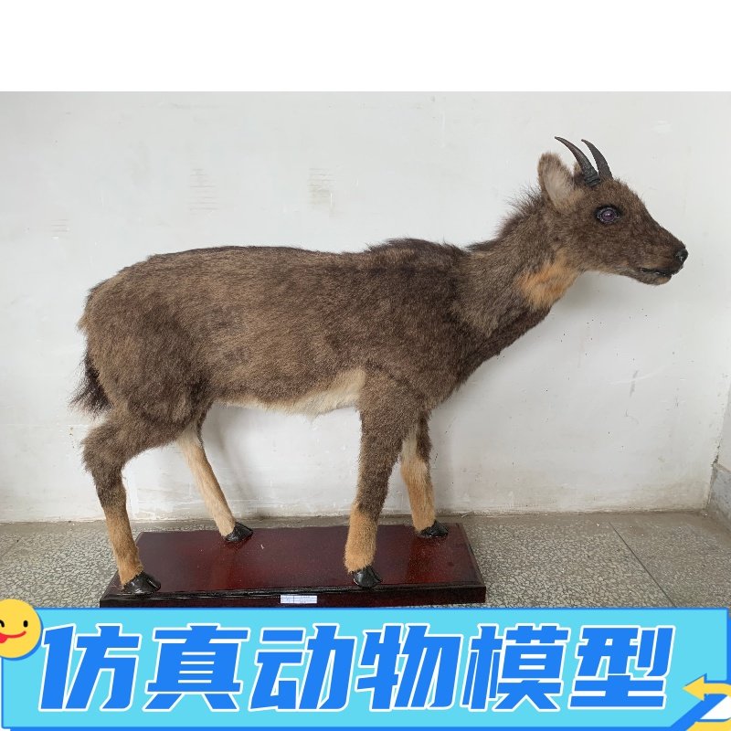 仿真兽类动物标本制作模型摆件影视道具博物馆工艺品展览大型定制