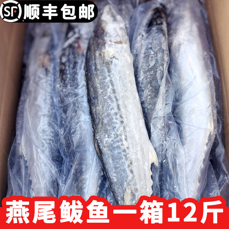 船冻马鲛鱼新鲜冷冻大号燕尾鲅鱼野生燕鲅鱼无冰净重整箱12斤批发,水产肉类/新鲜蔬果/熟食,马鲛鱼,淘宝优惠券,粉丝福利购,淘宝优惠卷