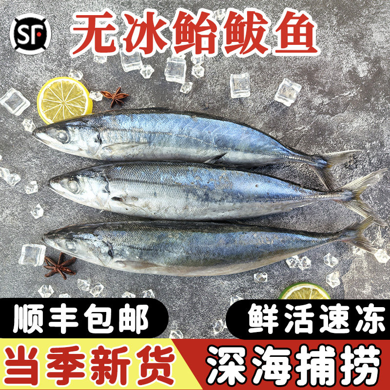 新鲜鲐鲅鱼整条深海鲜活速冻青占鱼燕鱼青花鱼小鲅鱼食材5斤包邮