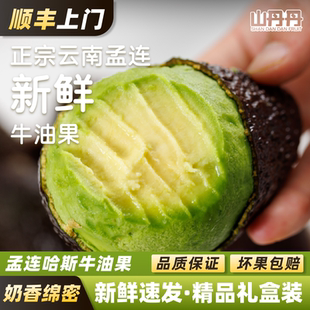 顺丰包邮云南孟连哈斯牛油果新鲜水果国产鳄梨熟大果奶油礼盒装