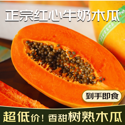 海南树上熟红心木瓜现摘现发