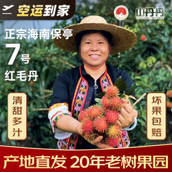 叶姐海南保亭7号红毛丹毛荔枝孕妇水果新鲜果园直供礼盒空运包邮