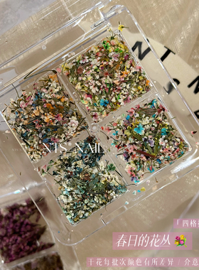 NTS.nail甄选「春日的花丛 × 四格拼盘」四色混装美甲干花碎花