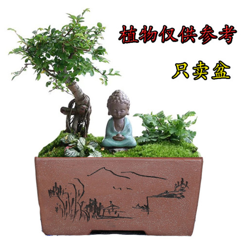宜兴新希望手工长方形文竹 榕树 树桩 盆景盆 特大多肉陶瓷花盆 - 封面