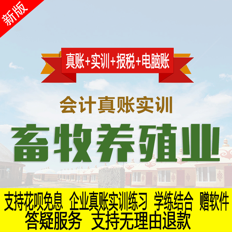 企业真账实训 报税实训 送软件