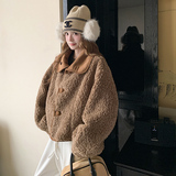 新品皮毛一体外套2D118-6118-P175-K268，女装短外套，2D118