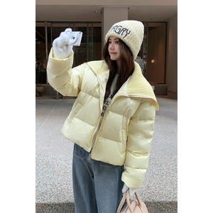 新品90绒羽绒服-2D118-6137-P265-K388图片