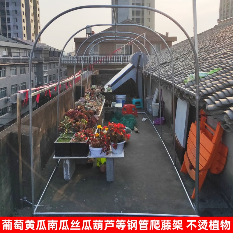 镀锌钢管爬藤架加粗加厚不烫苗