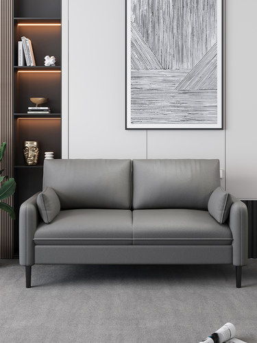 布艺沙发客厅2025新款小户型出租房双人直排科技布现代简约小沙发