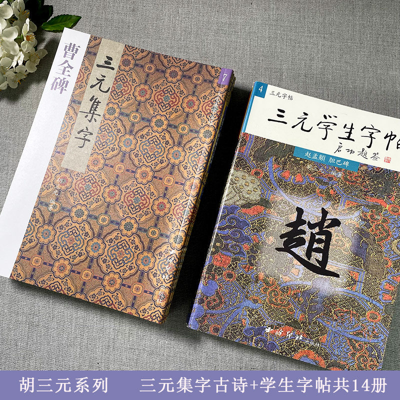 胡三元系列全14册 三元学生字帖+集字古诗 笔画运用部首结构集字作品 历代书法名家楷书行书隶书毛笔书法字帖书法入门自学临摹范本