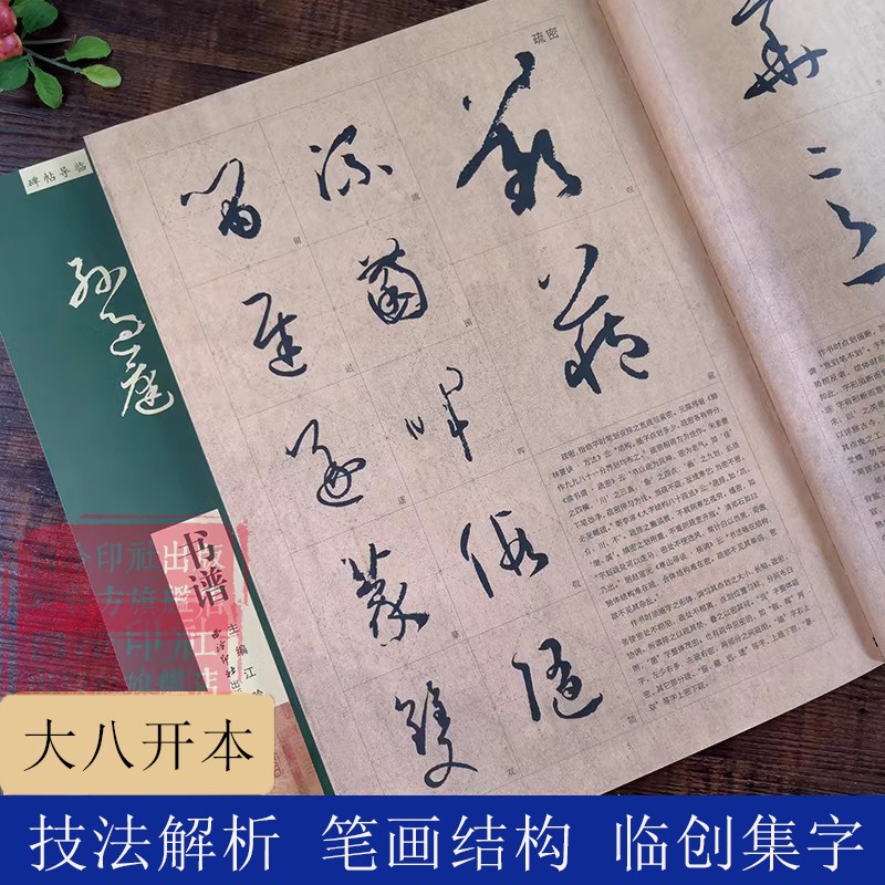 孙过庭书谱碑帖导临放大本