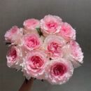 包邮 百合520情人节 洛神玫瑰花鲜花云南昆明基地直发同城速递水养