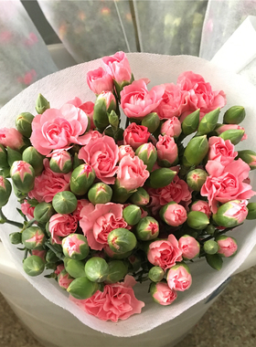 康乃馨鲜花花束云南昆明基地直发百合玫瑰水养插花元旦节人腊梅