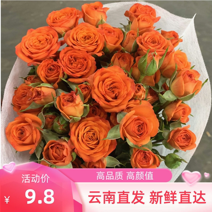 橙色芭比泡泡多头玫瑰鲜花花束云南基地直发粉百合情人节同城速递