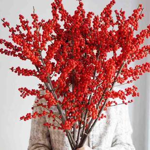 秋冬进口特级北美冬青耐寒招财发财果富贵子相思豆鲜切枝水培插花