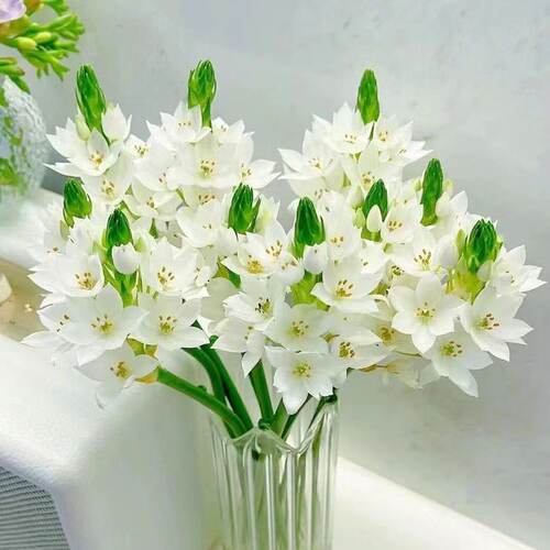 圣心百合鲜花水养鲜切花云南昆明基地直发同城配送向日葵玫瑰多头