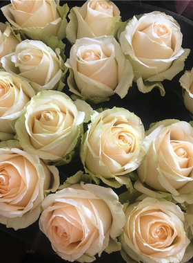 蜜桃雪山香槟玫瑰橙芭比泡泡混搭基地水养花直发百合同城花情人节