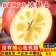 当应季 包邮 新疆阿克苏冰糖心大苹果丑新鲜水果甜脆原产地 正品