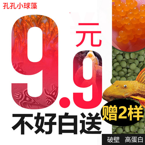 小球藻鱼食饲料胡子大凡异型形