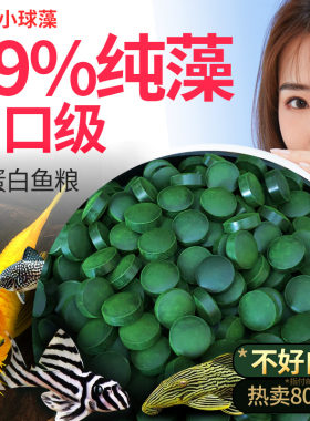 小球藻鱼食藻片胡子鼠开口粮迷宫