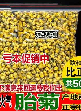 菊花茶胎菊王正宗精品杭白菊胎菊袋装胎菊王可搭配枸杞组合花茶胎