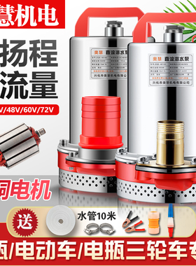 直流潜水泵48v60v72V电瓶车专用抽水泵农用灌溉小型12v24v抽水机