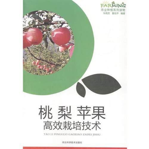 正版包邮  桃  梨  苹果高效栽培技术 9787537565240 车艳芳 编著,曹花平 编著 河北科学技术出版社