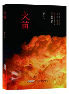 正版包邮  长篇小说：火苗 9787539669311 顾坚 安徽文艺出版社
