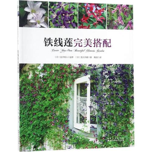 正版包邮  铁线莲搭配 9787570602599 湖北科学技术出版社 (日)及川洋磨 著,陶旭 译