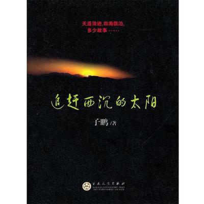 正版包邮  追赶西沉的太阳（短篇小说） 9787530657829 百花文艺出版社 子鹏 著