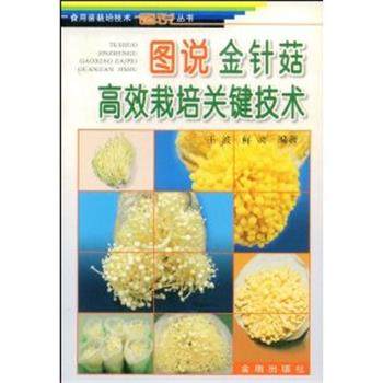 正版包邮  图说金针菇高效栽培关键技术 9787508233475 金盾出版社 王波 等编著