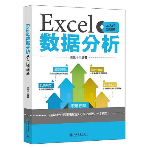 正版包邮  Excel数据分析从入门到精通 9787301364123 梁三十 北京大学出版社