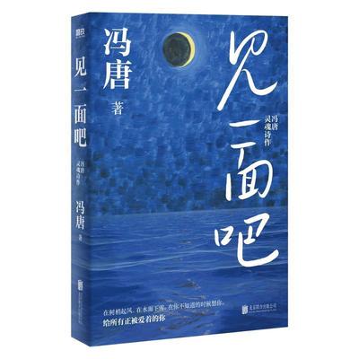 正版包邮  见一面吧 9787559672971 北京联合出版公司 冯唐