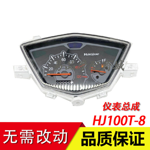 VF100HJ100T-8C仪表总成里程表
