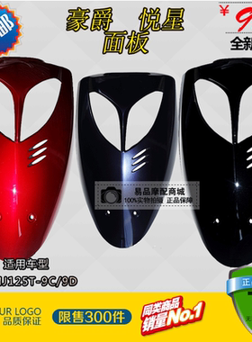 适用豪爵悦星踏板摩托车HJ125T-9C/9D悦星国三前面板前斜板前大板